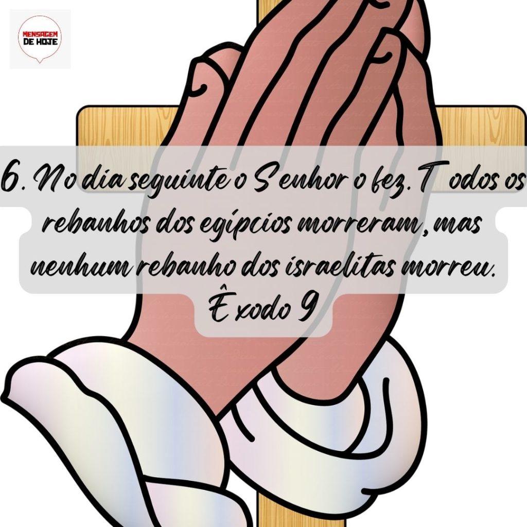 Salmos 18 de Agosto de 2022 3