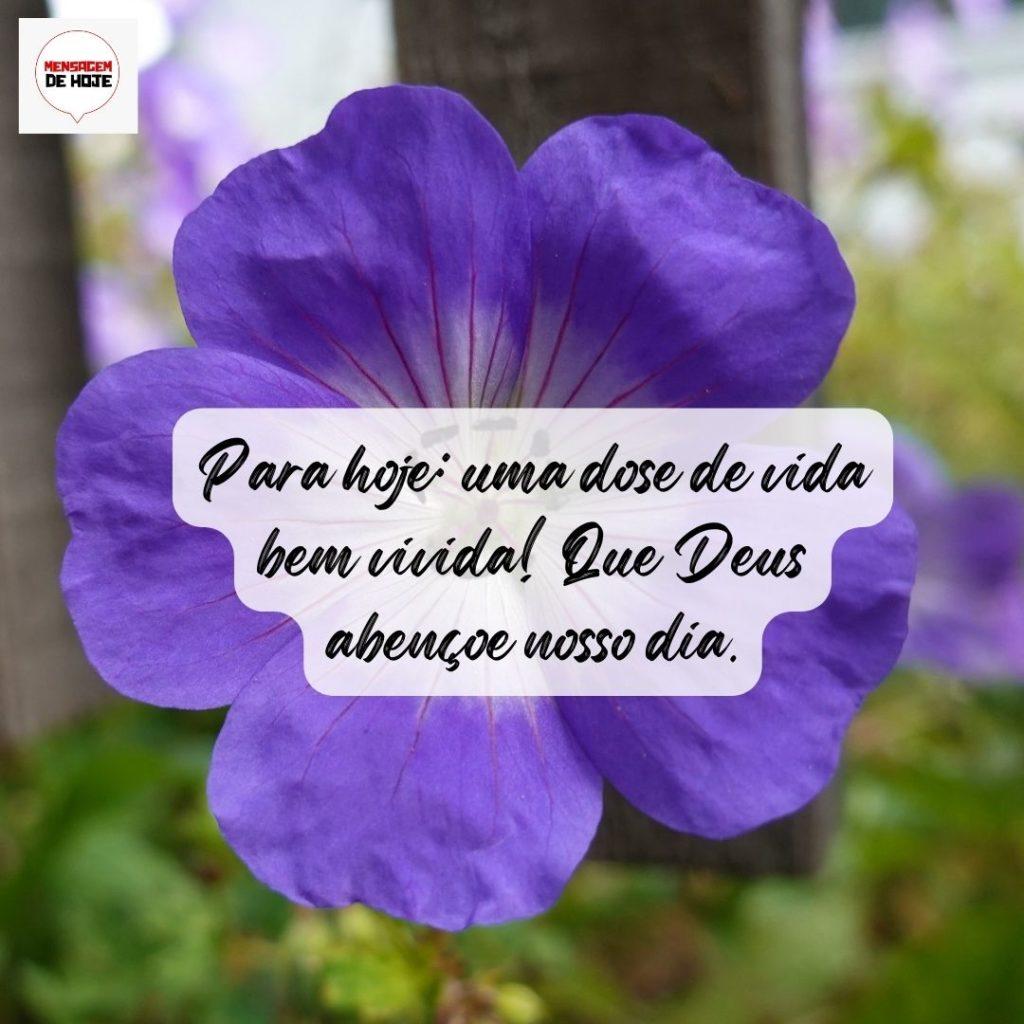 Bom Dia 12 de Agosto de 2022 5