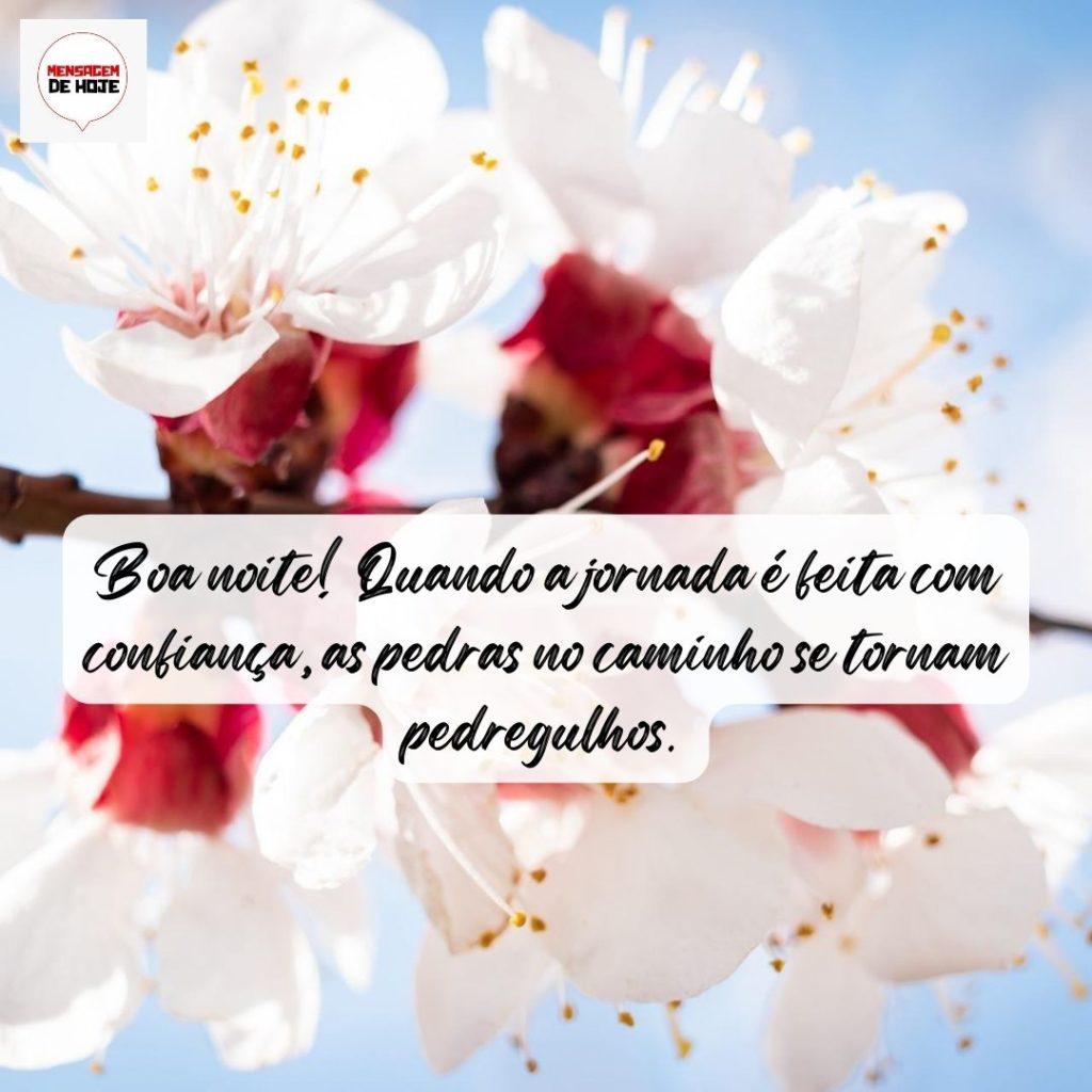 Boa Noite 26 de Agosto de 2022 9