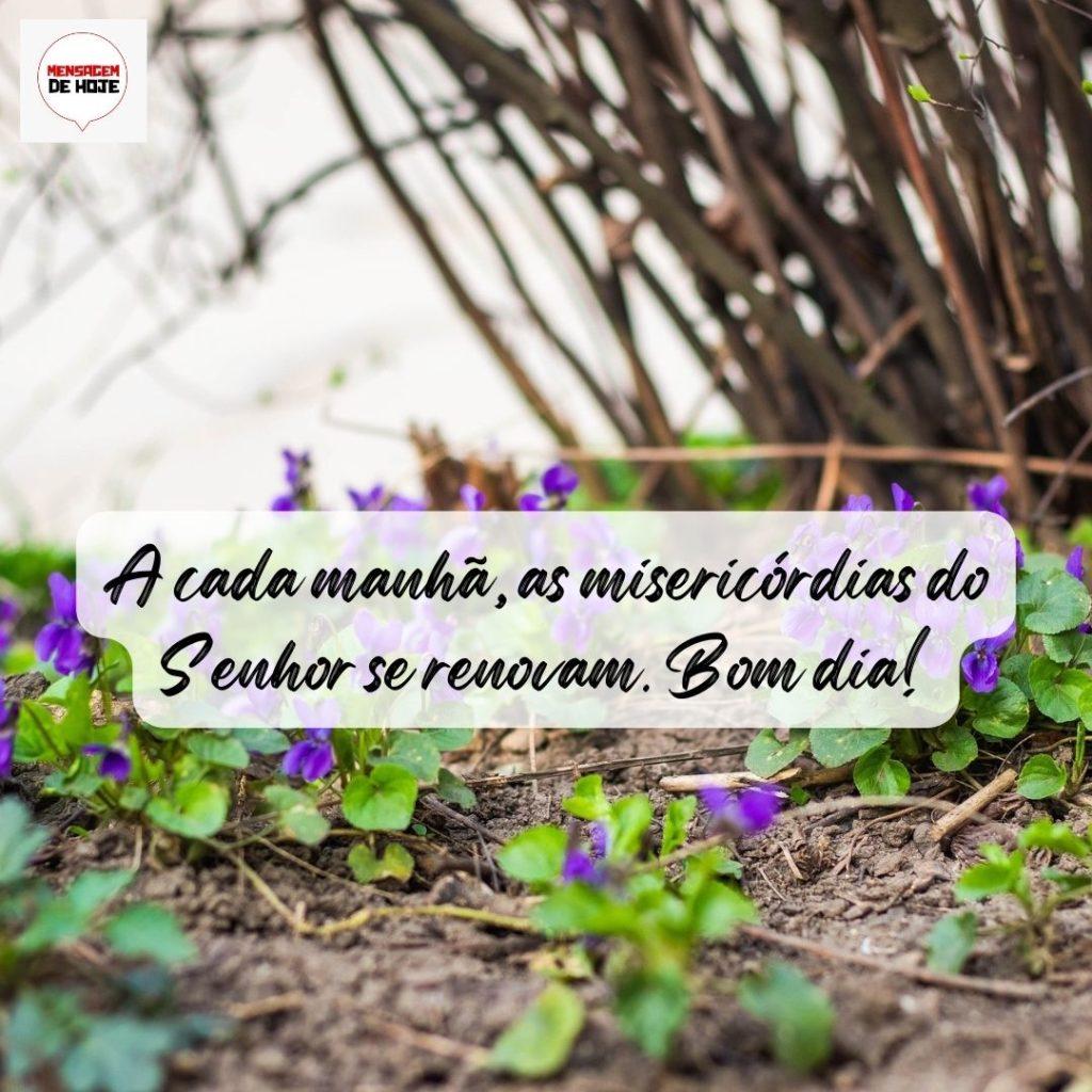 Bom Dia 12 de Agosto de 2022 9