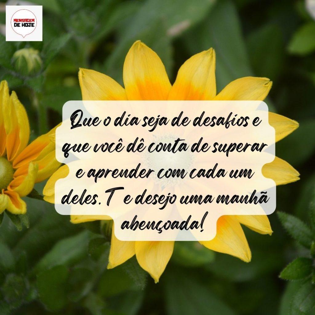 Bom Dia 12 de Agosto de 2022 17