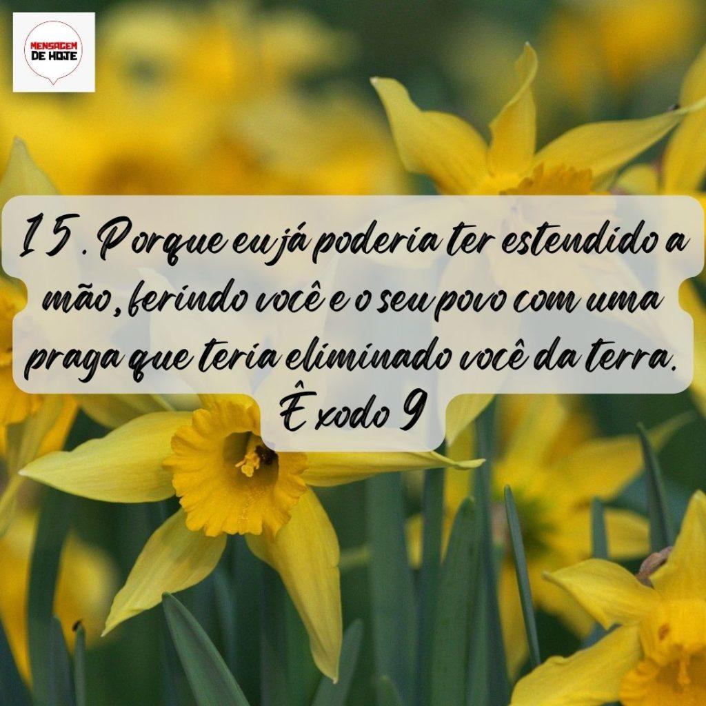 Salmos 19 de Agosto de 2022 1