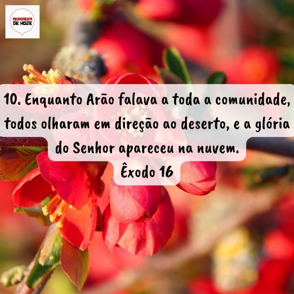 Salmos 31 de Agosto de 2022 17