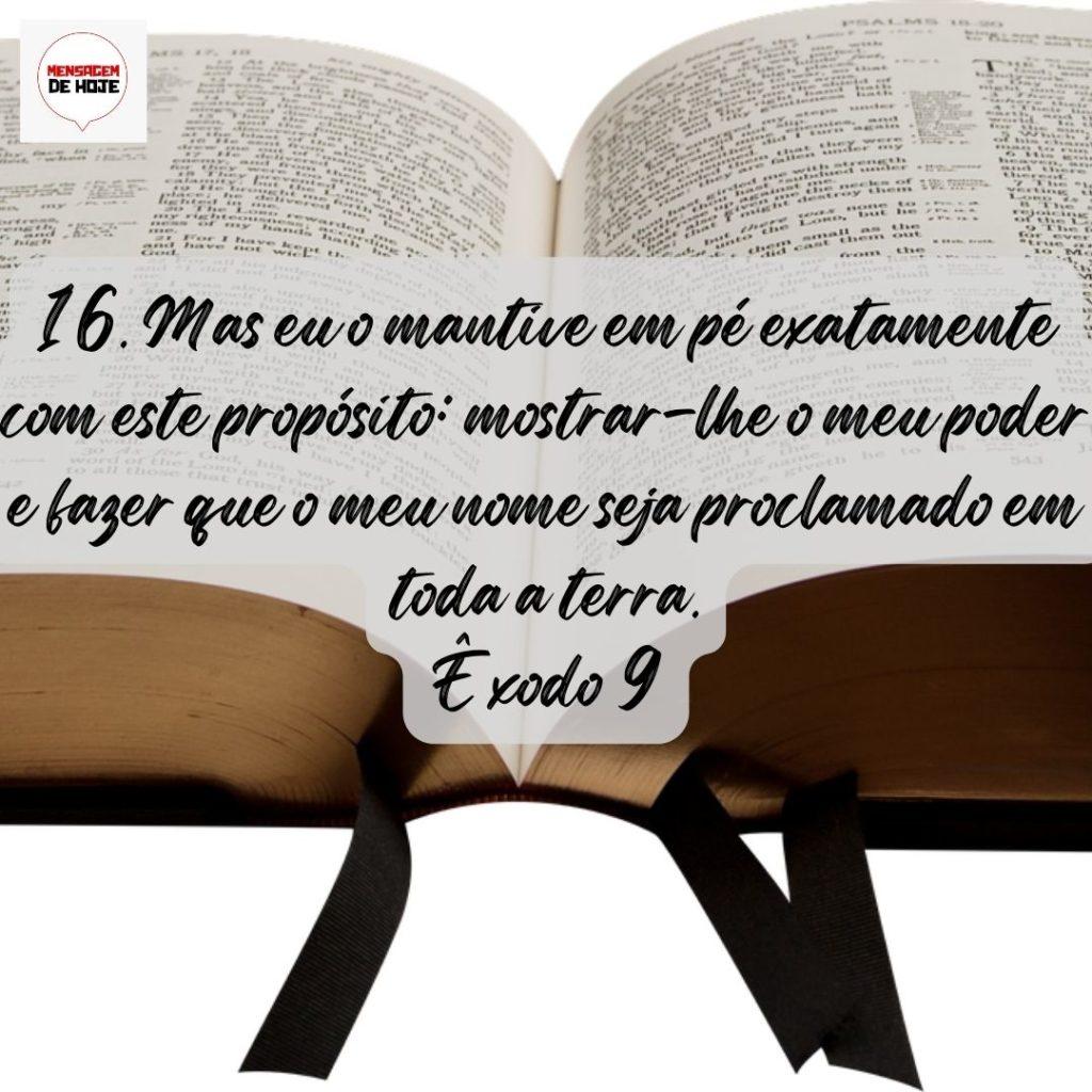 Salmos 19 de Agosto de 2022 3
