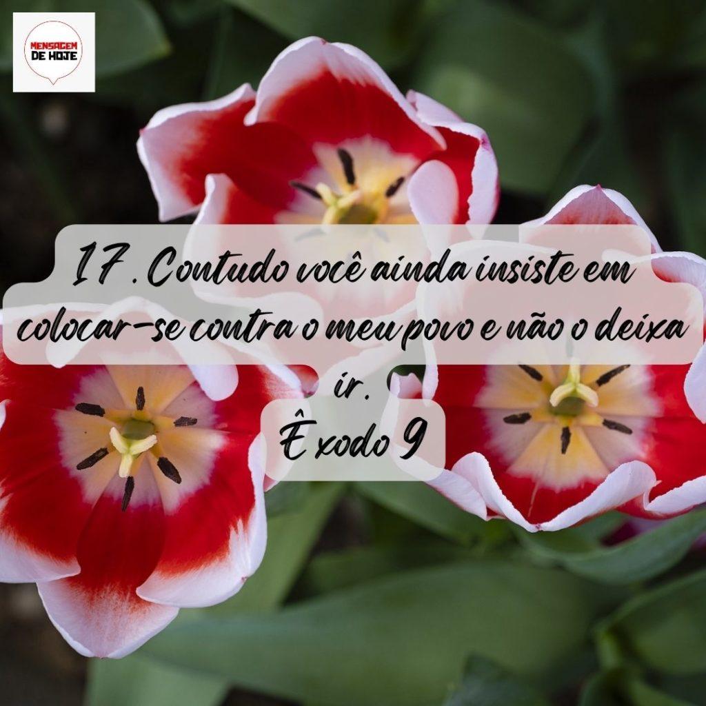 Salmos 19 de Agosto de 2022 5