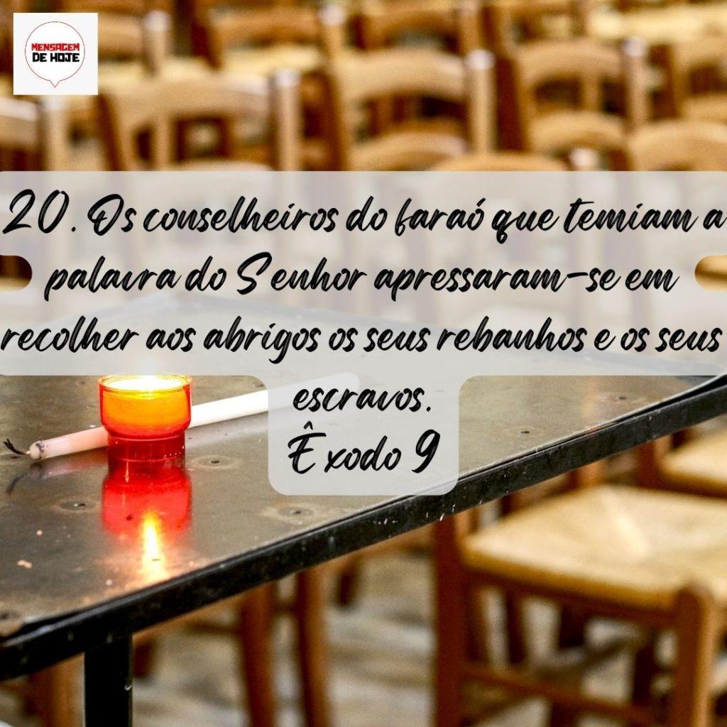 Salmos 19 de Agosto de 2022 11