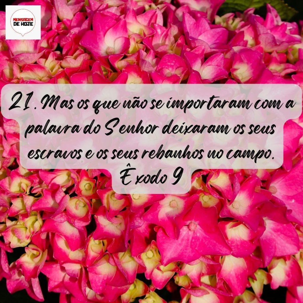 Salmos 19 de Agosto de 2022 13