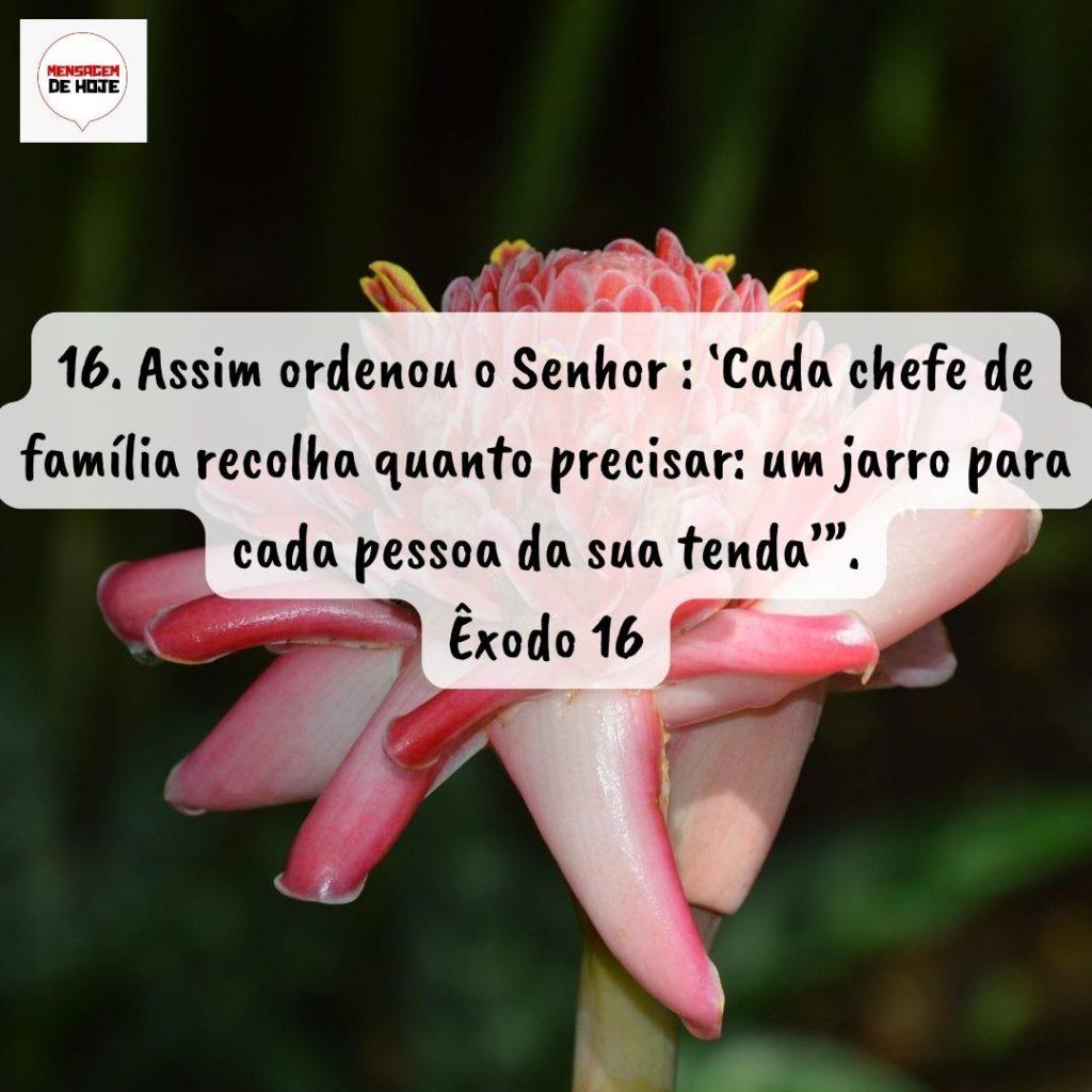 Salmos 31 de Agosto de 2022 9