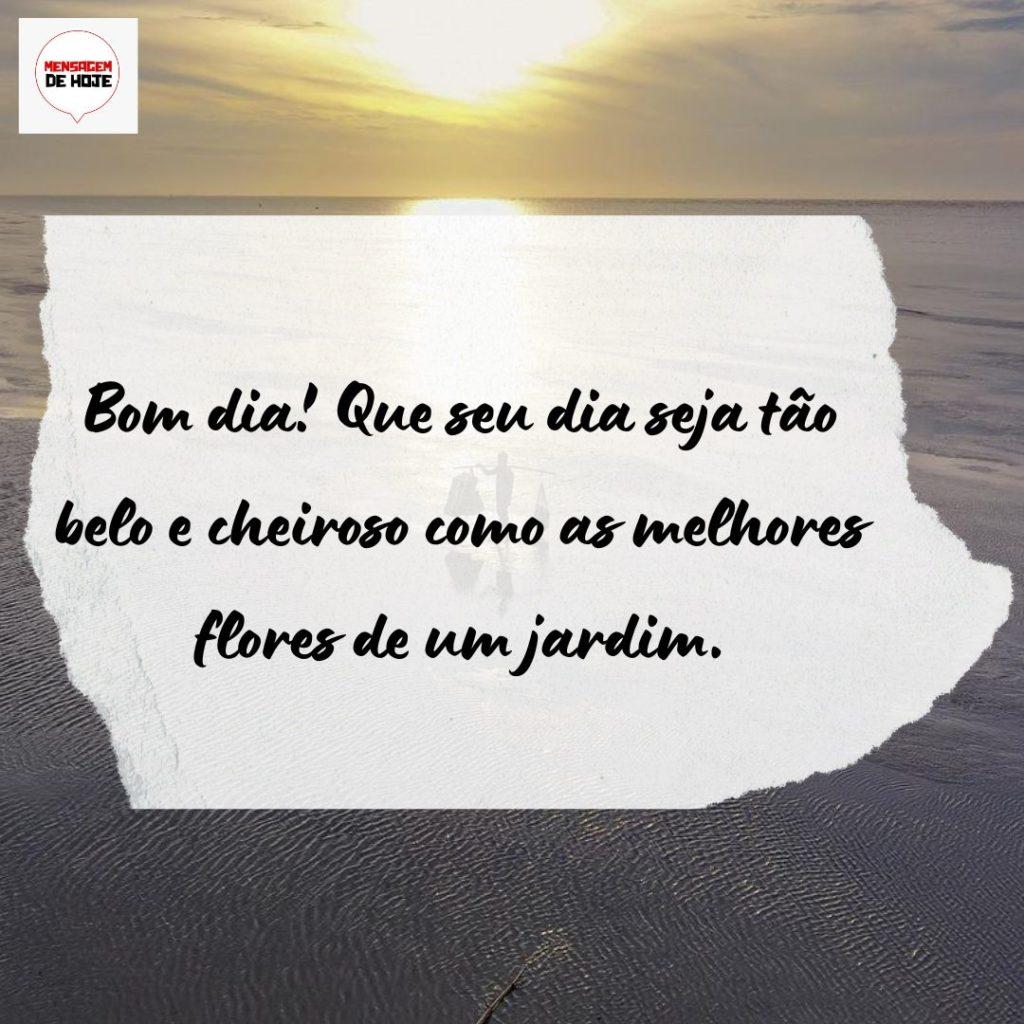 Bom Dia 23 de Agosto de 2022 19
