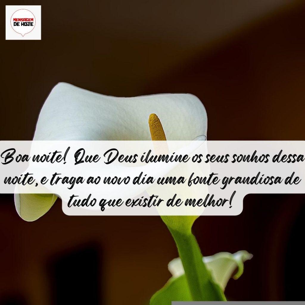 Boa Noite 25 de Agosto de 2022 5