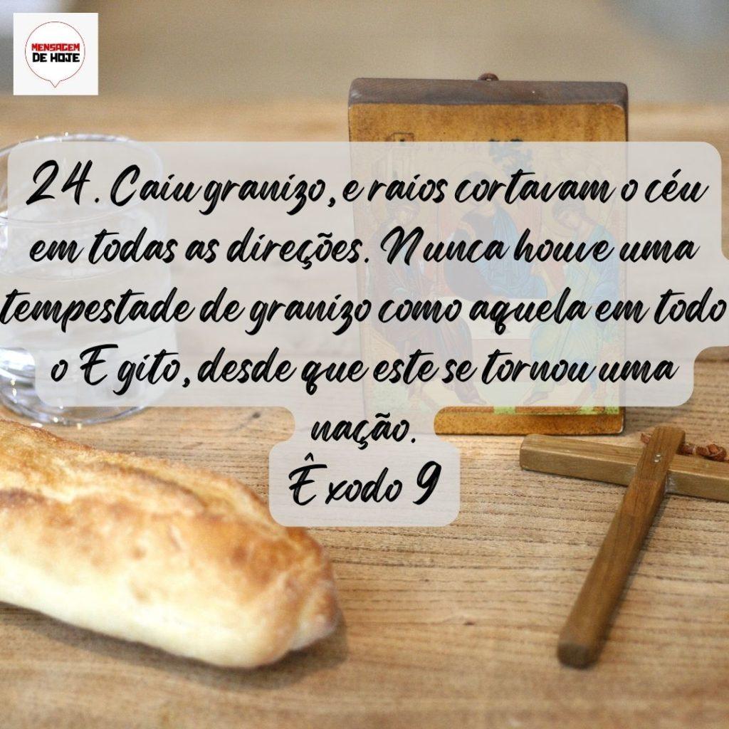 Salmos 19 de Agosto de 2022 19