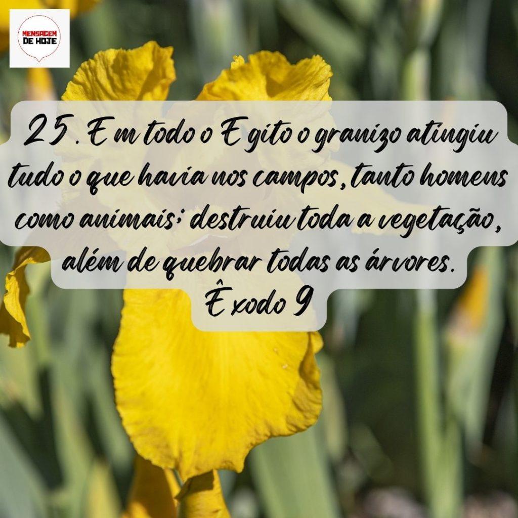 Salmos 20 de Agosto de 2022 1