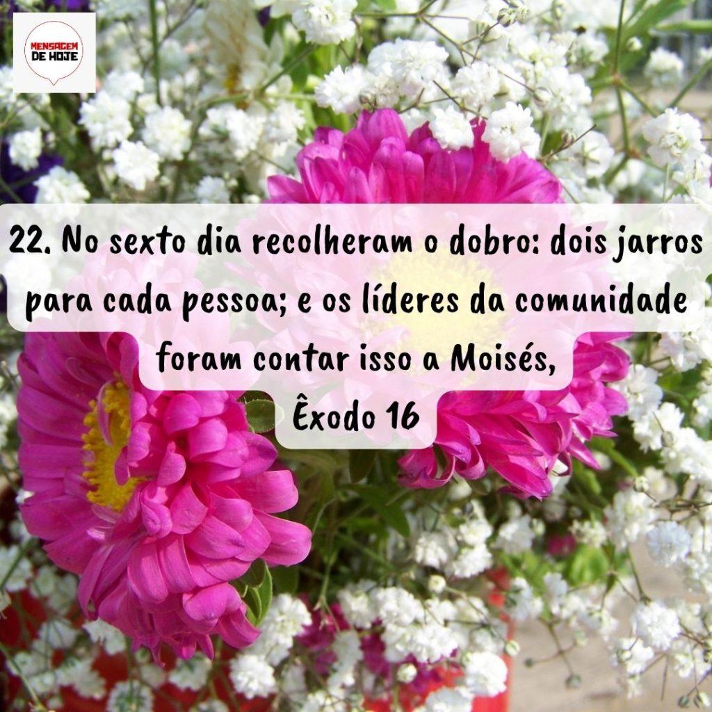Salmos 10 de Setembro de 2022 11