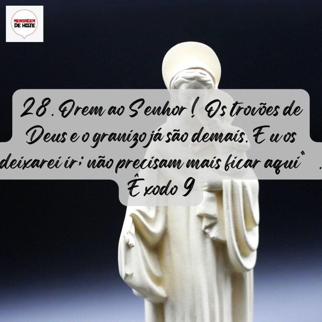 Salmos 20 de Agosto de 2022 7