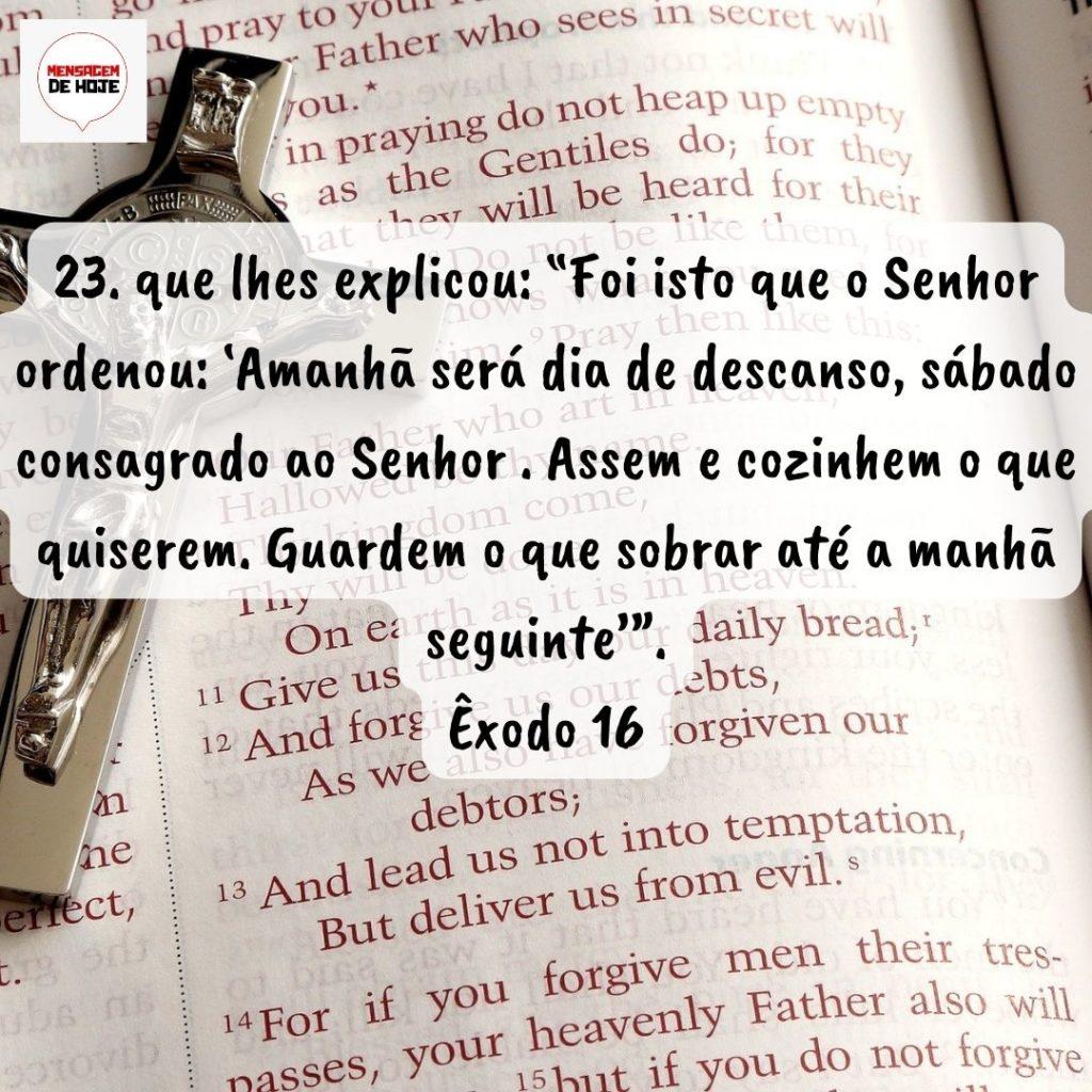 Salmos 10 de Setembro de 2022 13