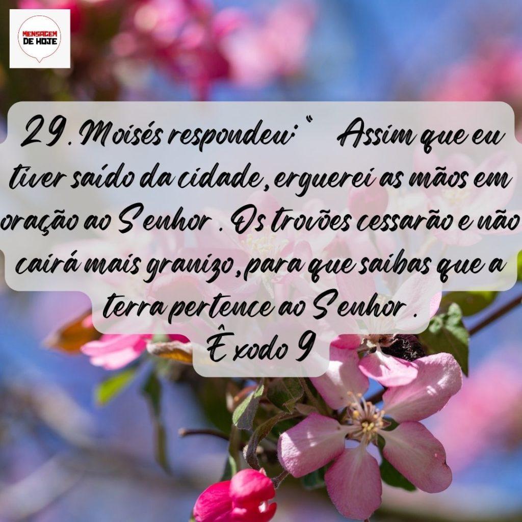Salmos 20 de Agosto de 2022 9