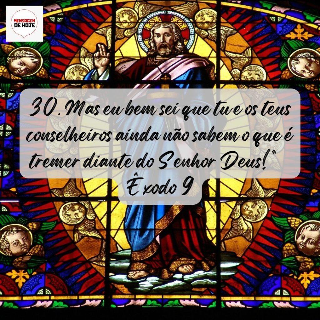 Salmos 20 de Agosto de 2022 11