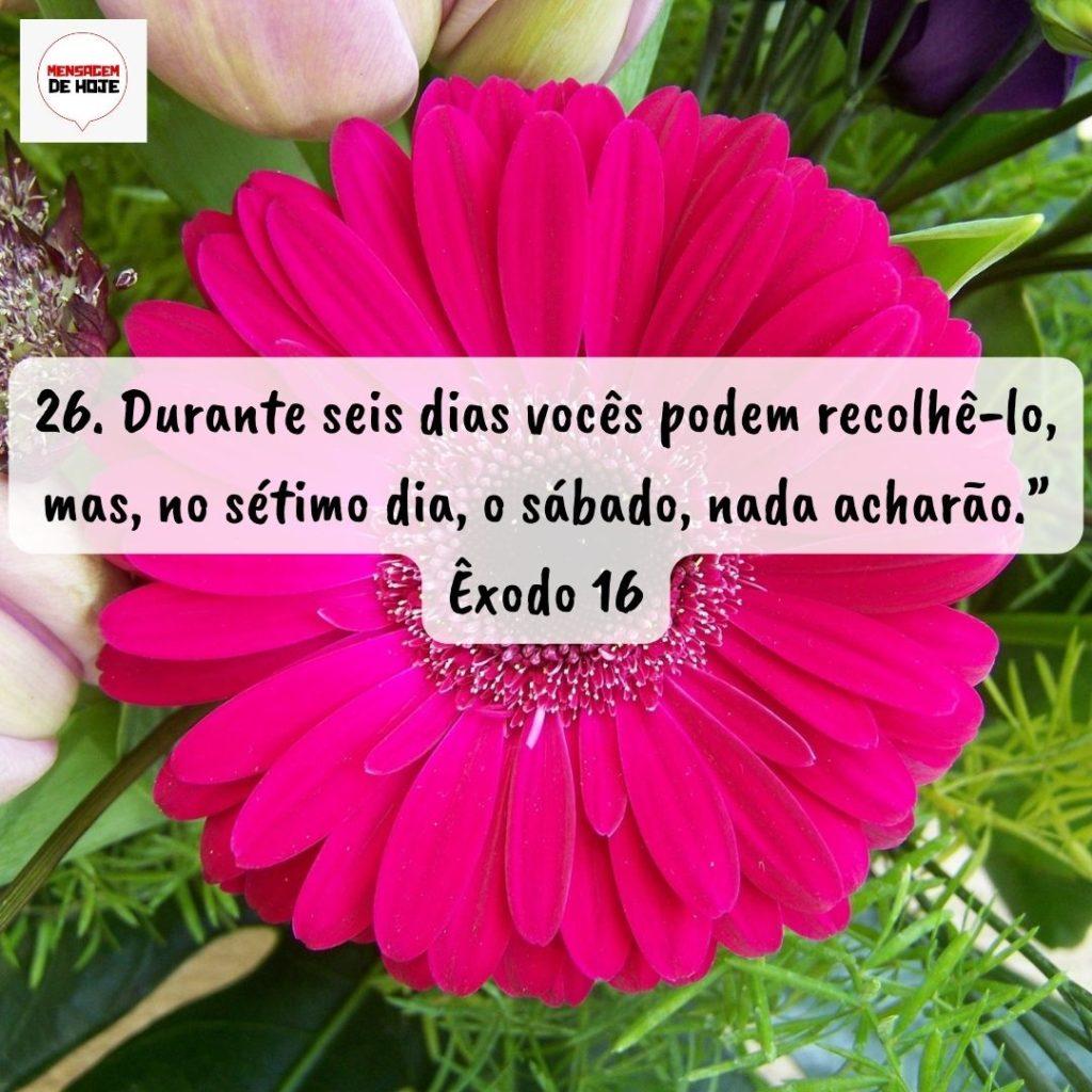Salmos 10 de Setembro de 2022 19