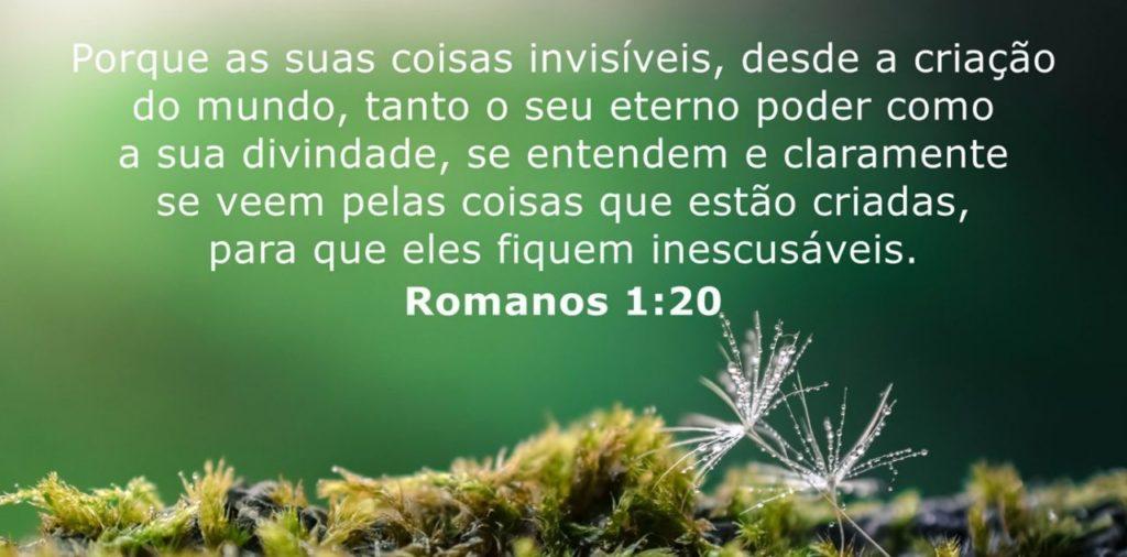 Salmos 19 de Agosto de 2022 25
