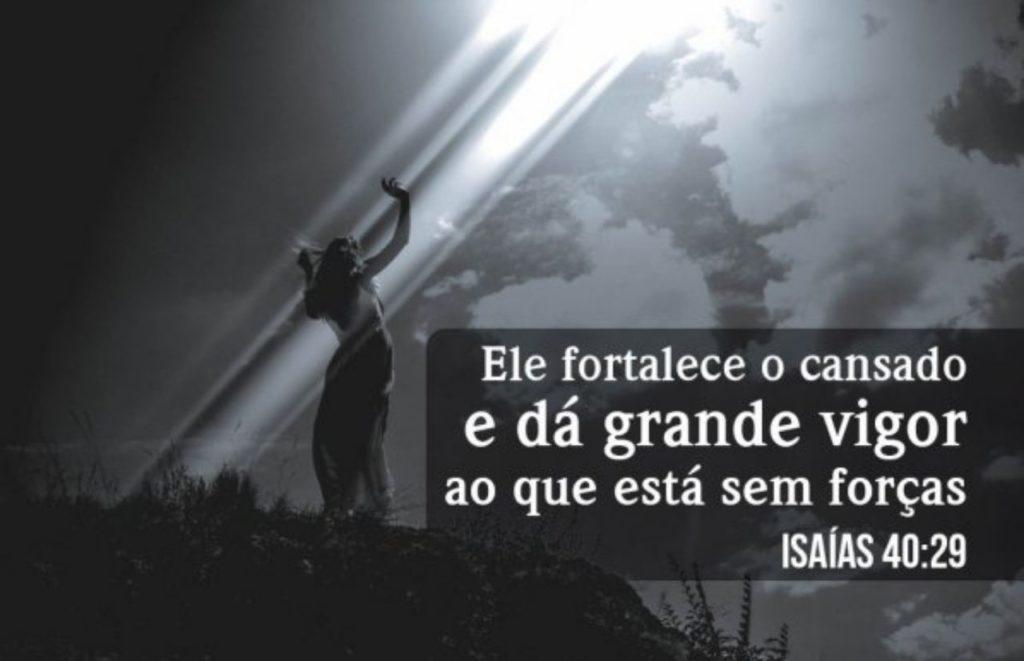 Salmos 19 de Agosto de 2022 29