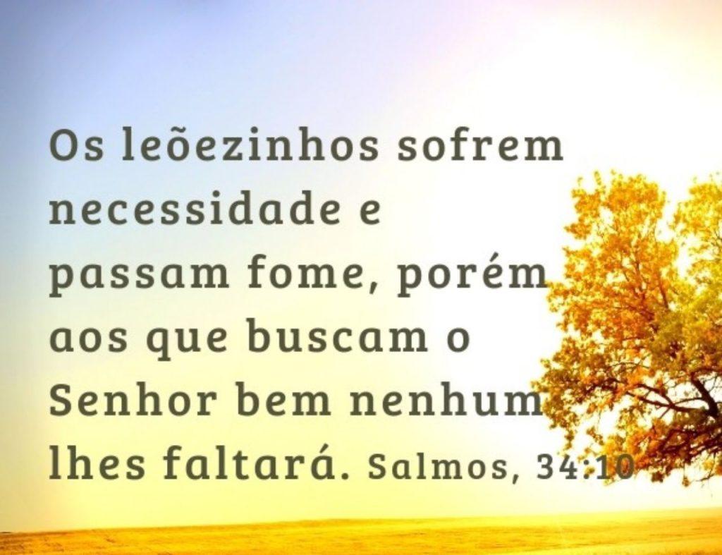 Salmos 14 de Agosto de 2022 39
