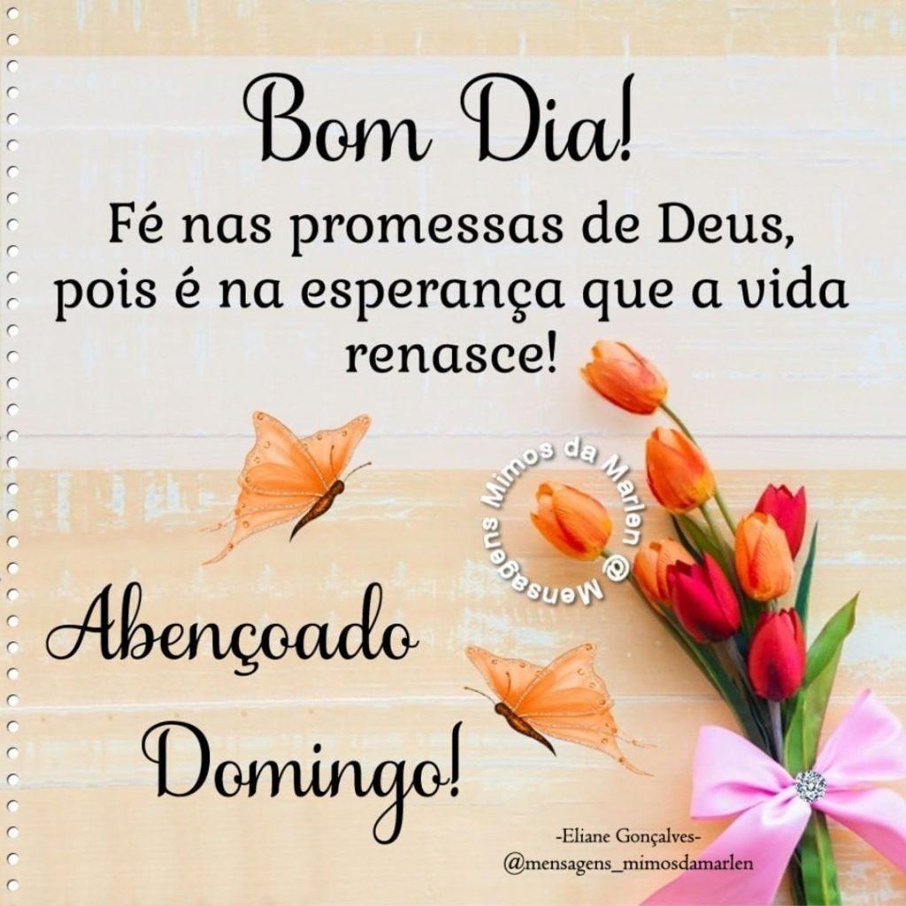 Bom Dia 21 de Agosto de 2022 25