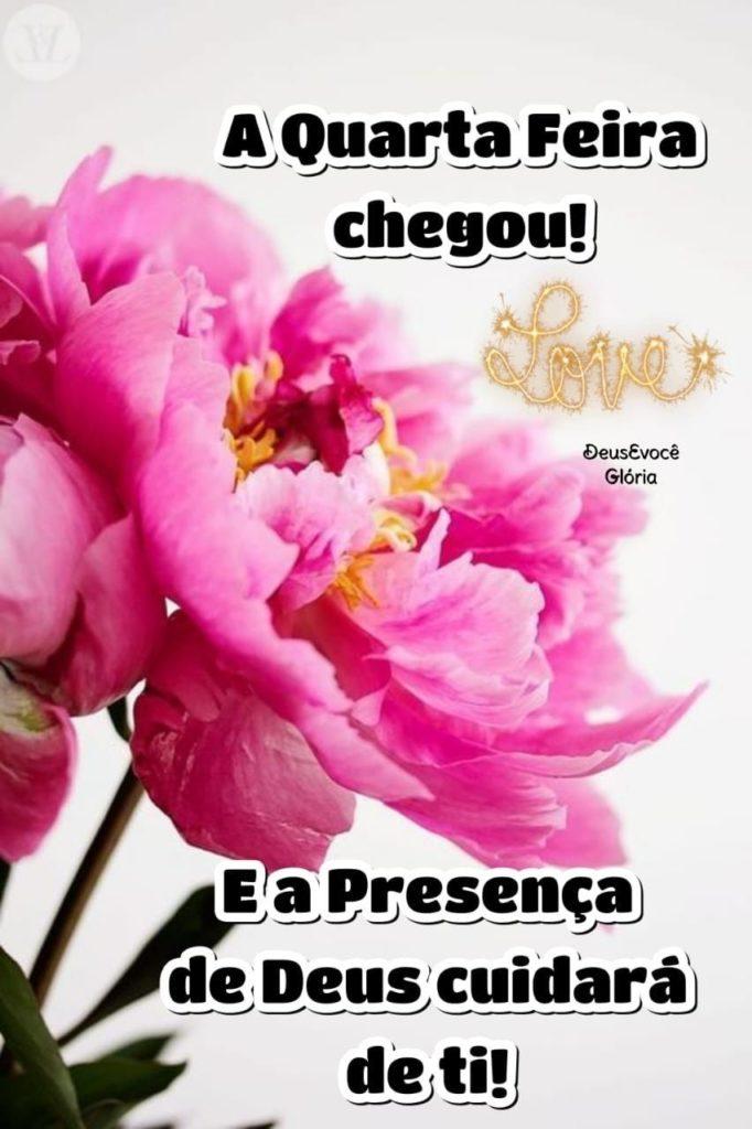 Bom Dia 29 de Agosto de 2022 39
