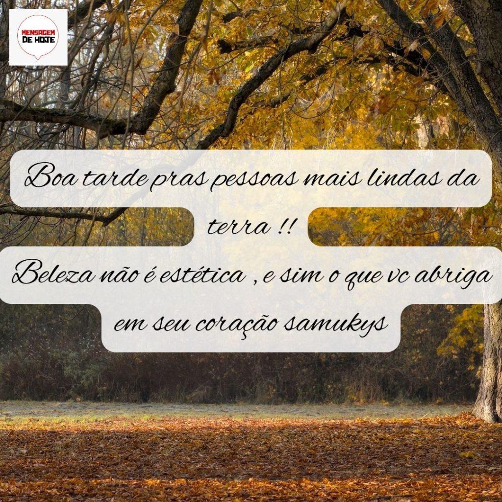 Boa Tarde 19 de Setembro de 2022 3