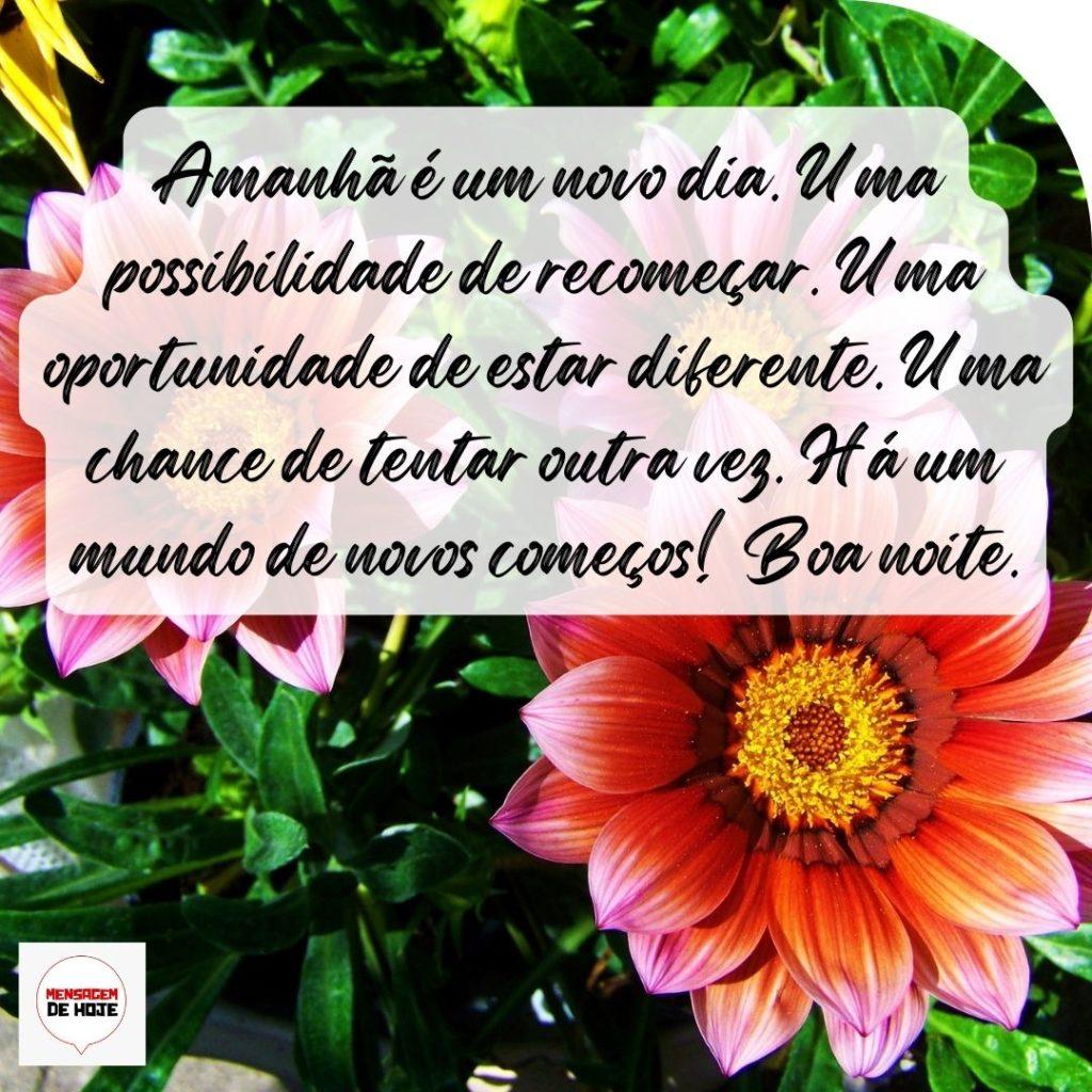Boa Noite 07 de Outubro de 2022 7