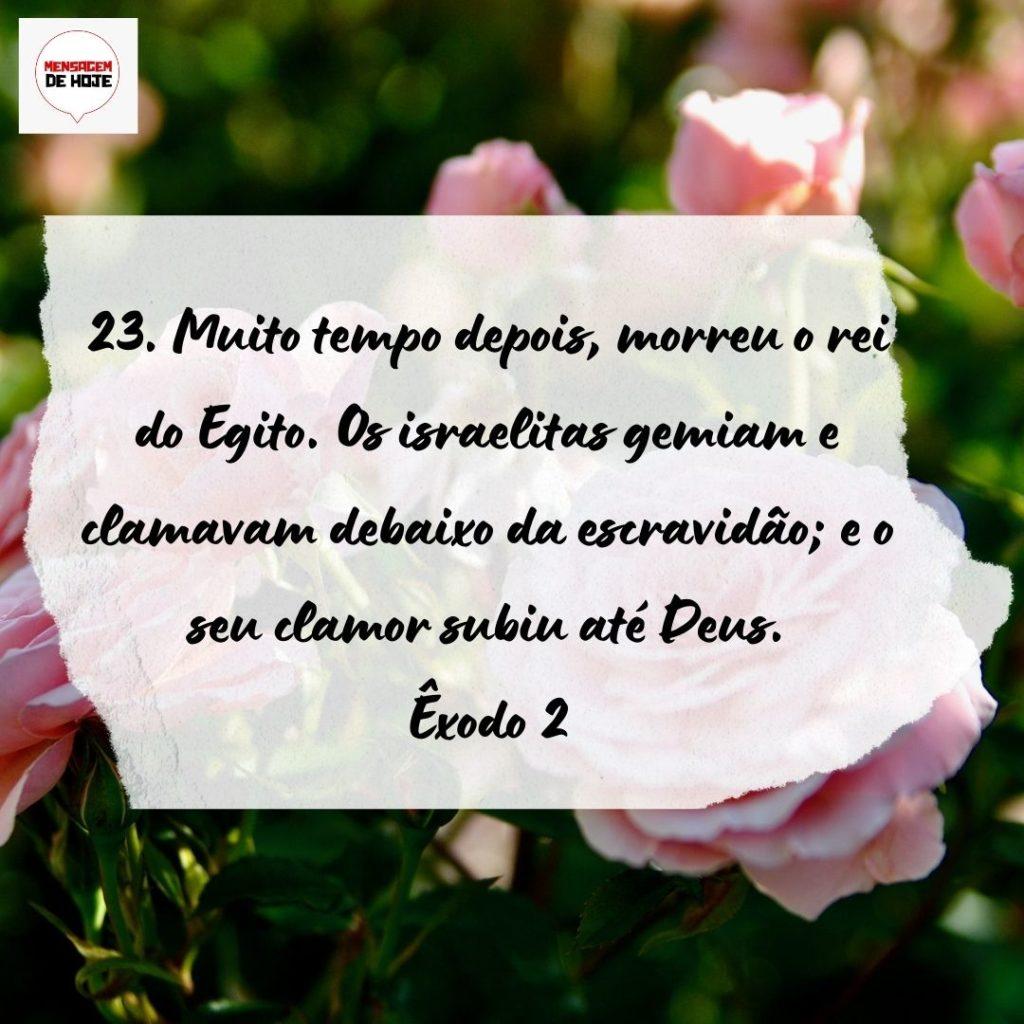 Salmos 17 de Setembro de 2022 7
