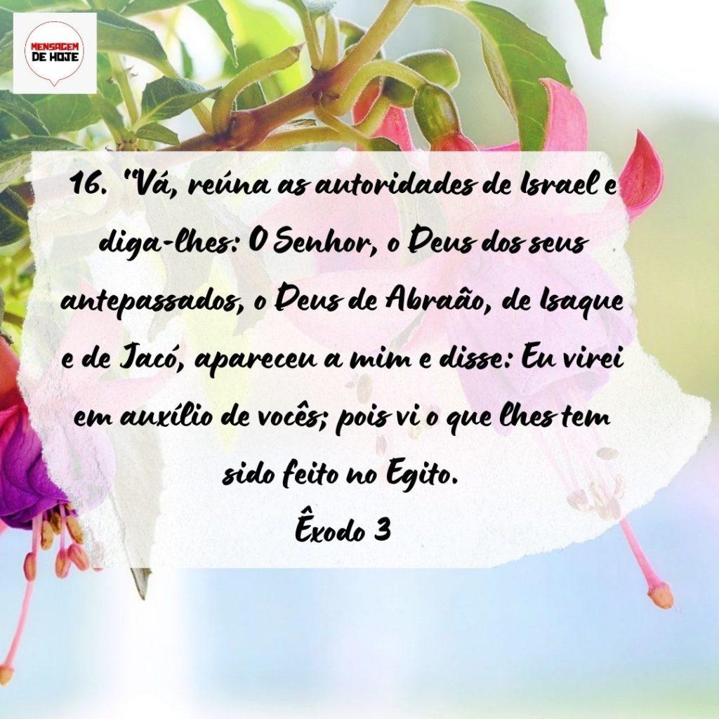 Salmos 18 de Setembro de 2022 1