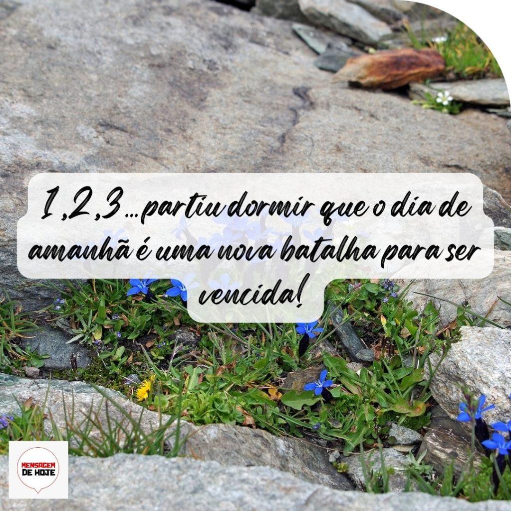 Boa Noite 09 de Outubro de 2022 3