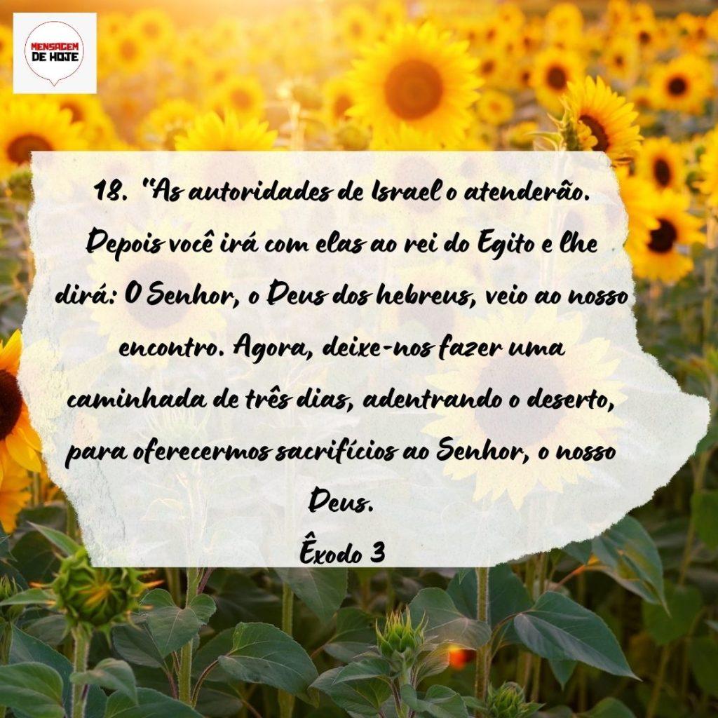 Salmos 19 de Setembro de 2022 5