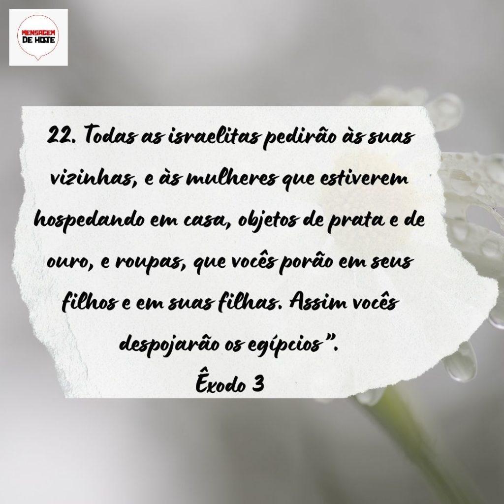 Salmos 19 de Setembro de 2022 13