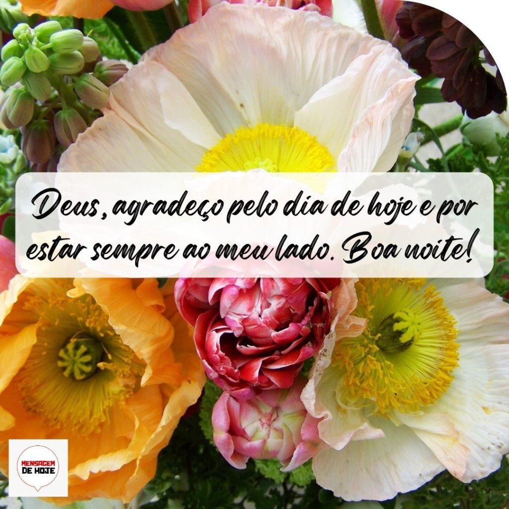 Boa Noite 10 de Outubro de 2022 19