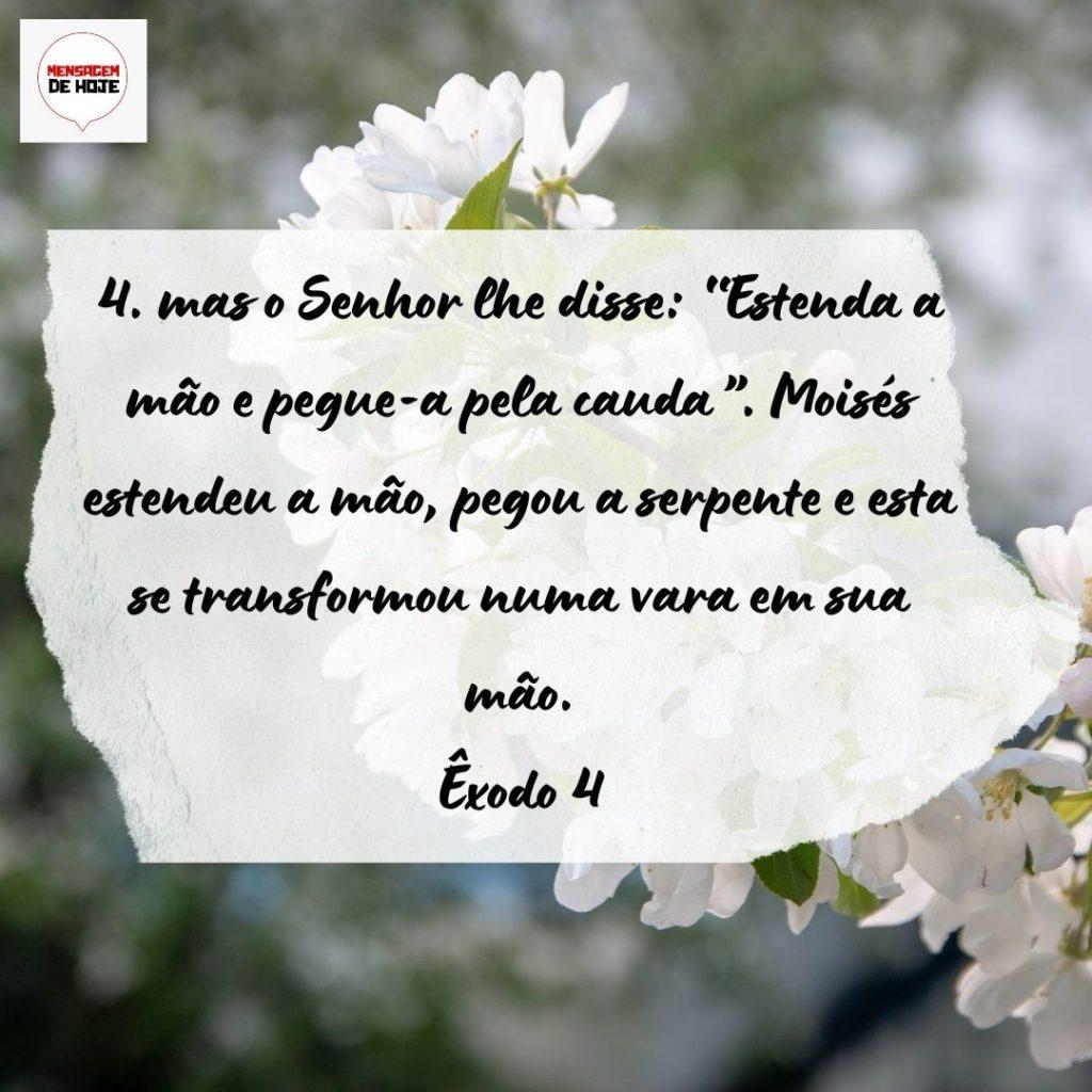 Salmos 19 de Setembro de 2022 1