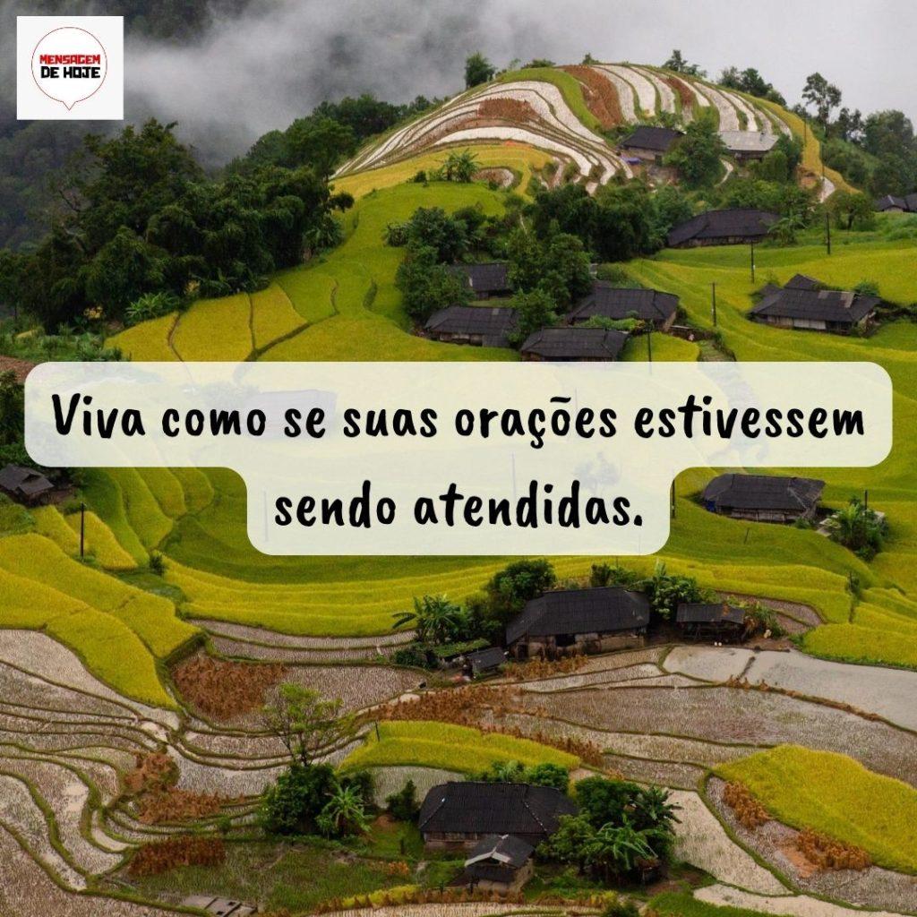 Pensamentos 19 de Setembro de 2022 3