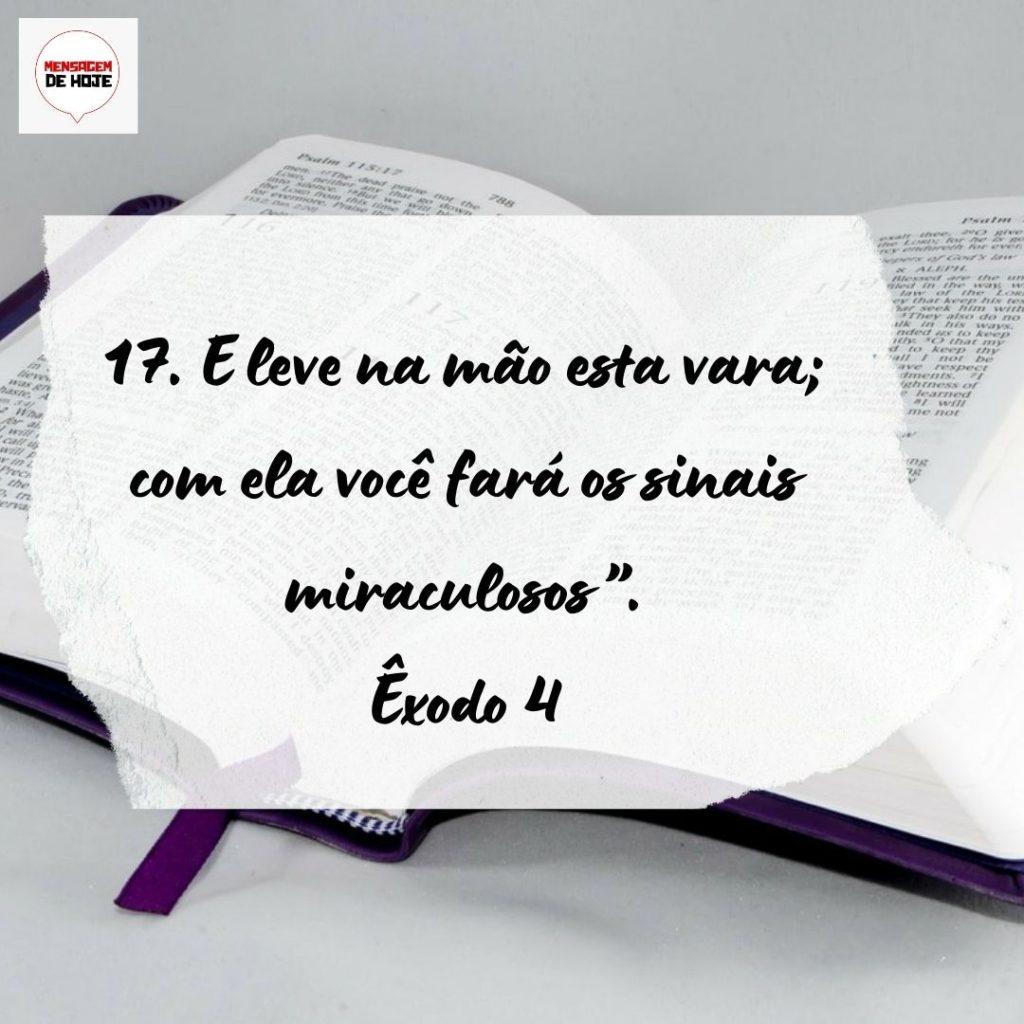 Salmos 21 de Setembro de 2022 11