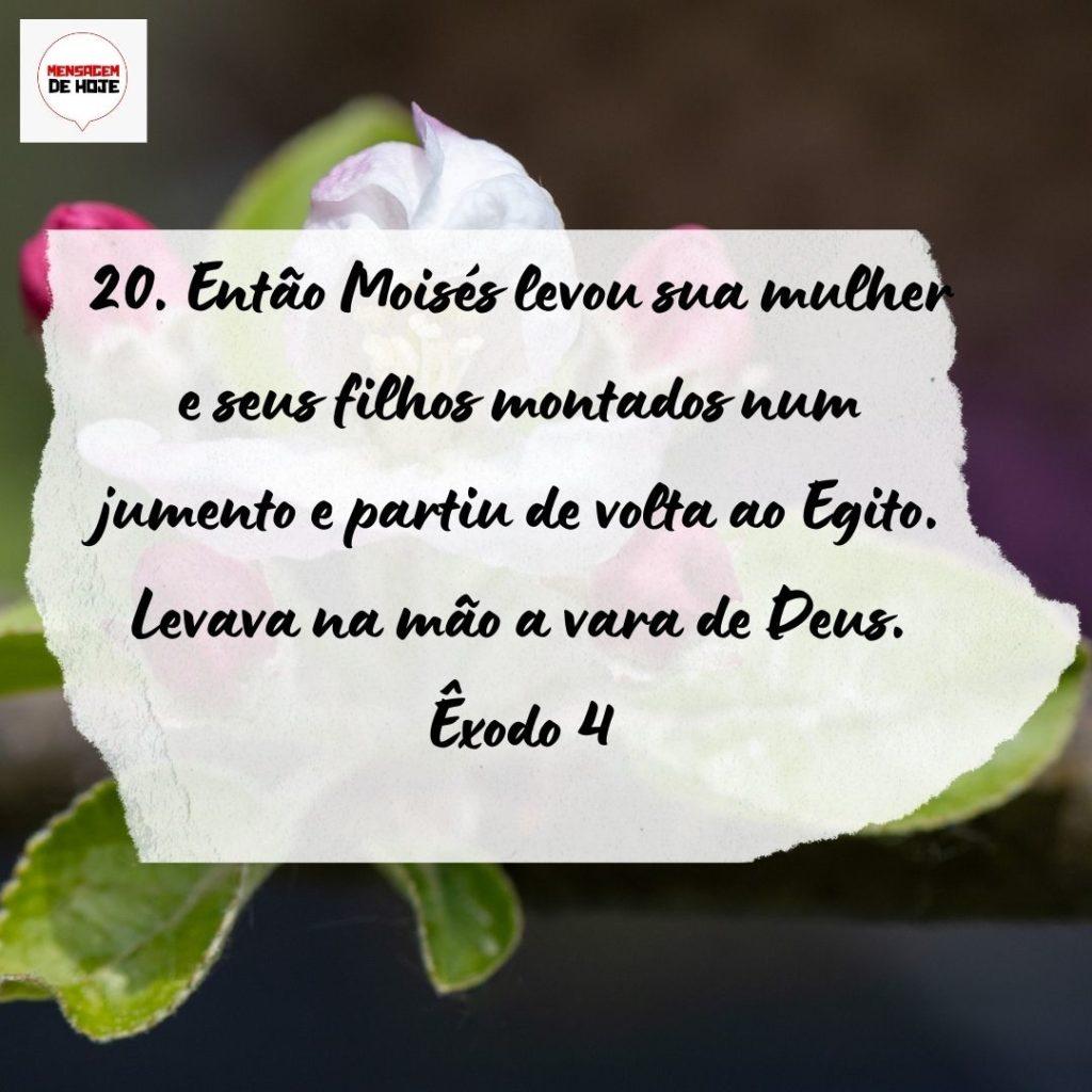 Salmos 21 de Setembro de 2022 17