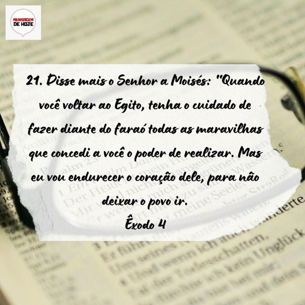 Salmos 21 de Setembro de 2022 19