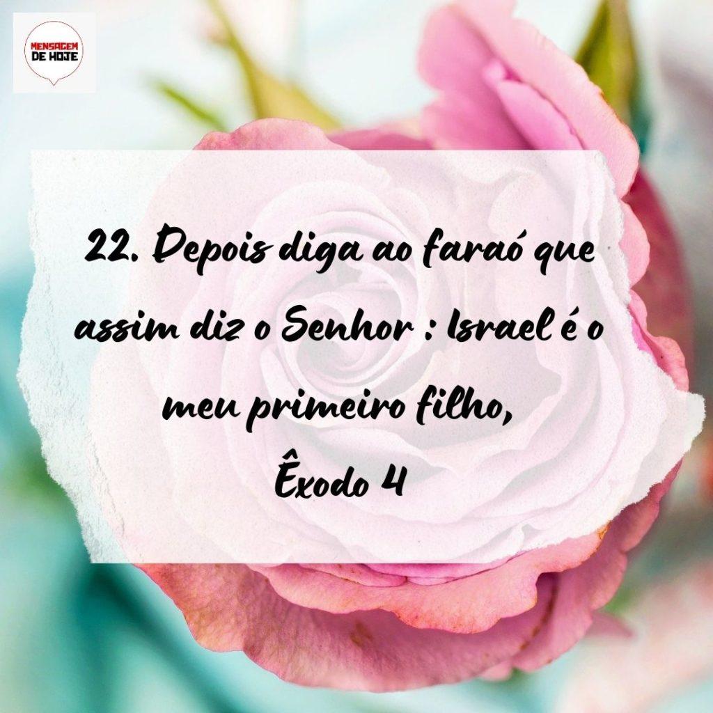 Salmos 21 de Setembro de 2022 1