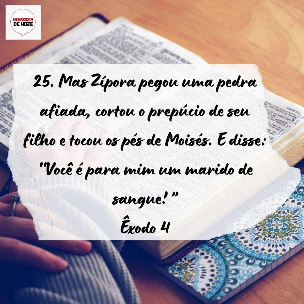 Salmos 21 de Setembro de 2022 7