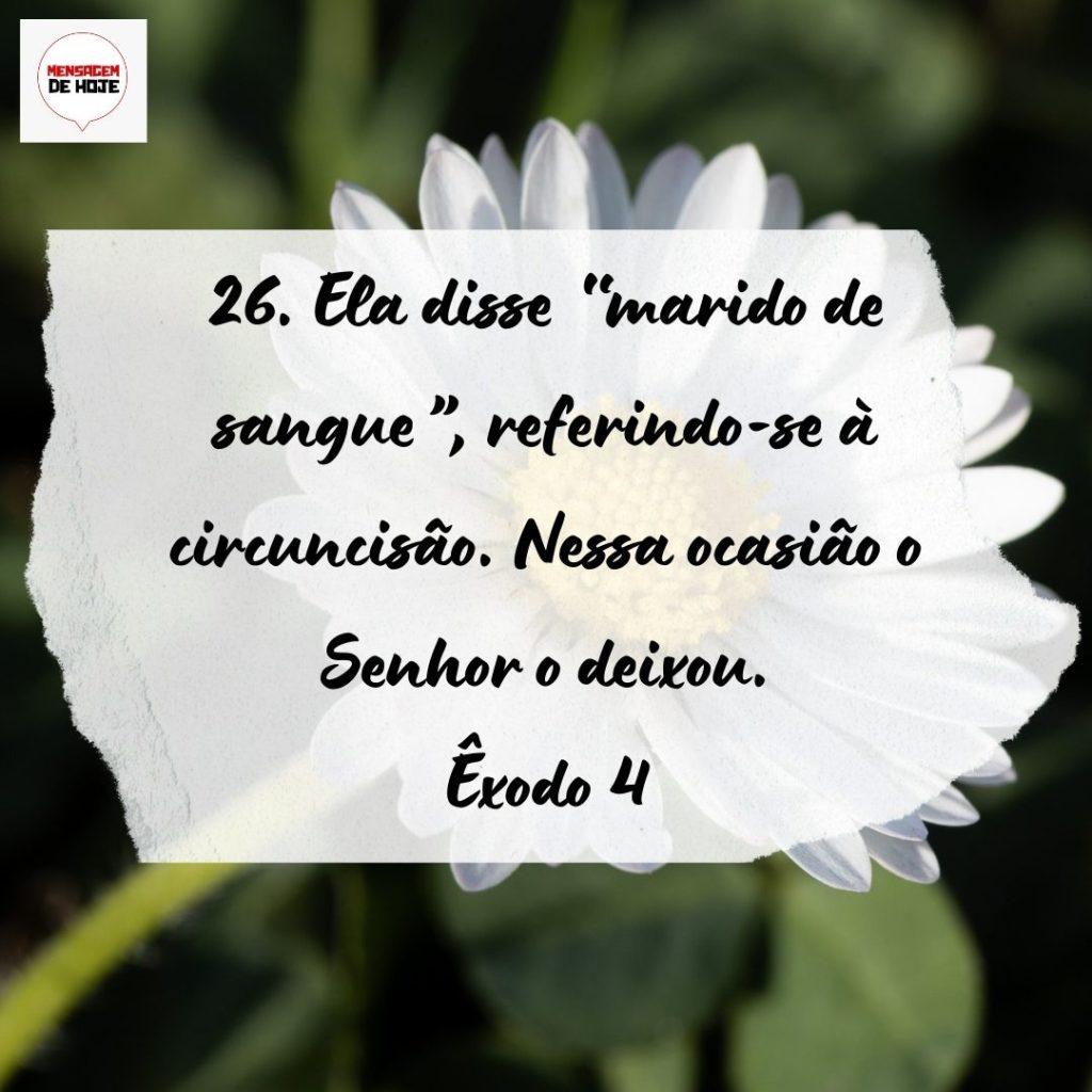 Salmos 22 de Setembro de 2022 5