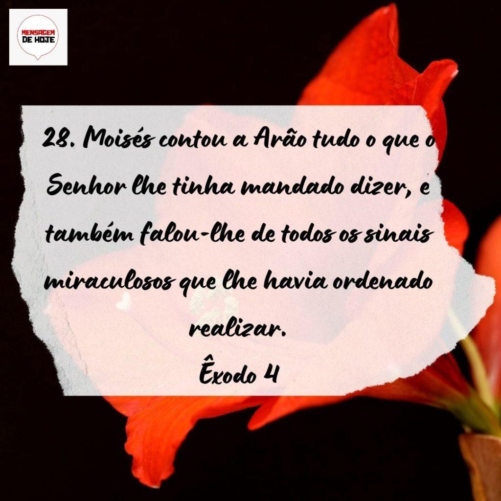 Salmos 22 de Setembro de 2022 9