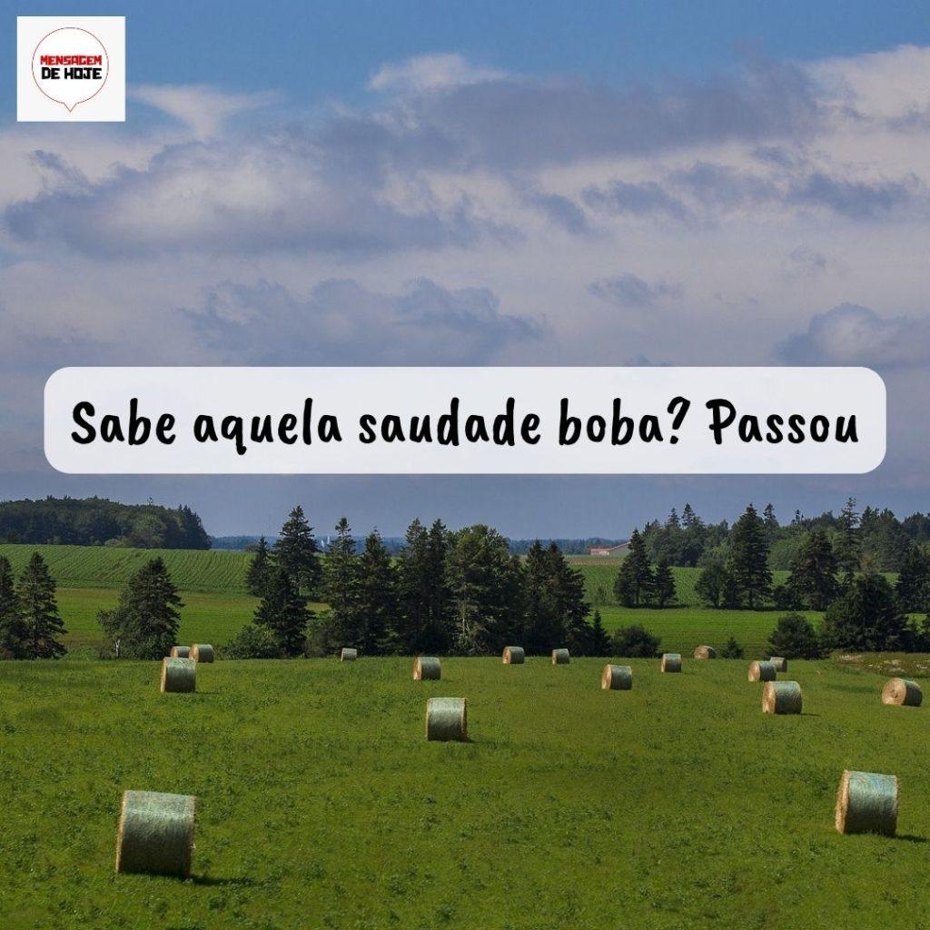 Pensamentos 30 de Setembro de 2022 13