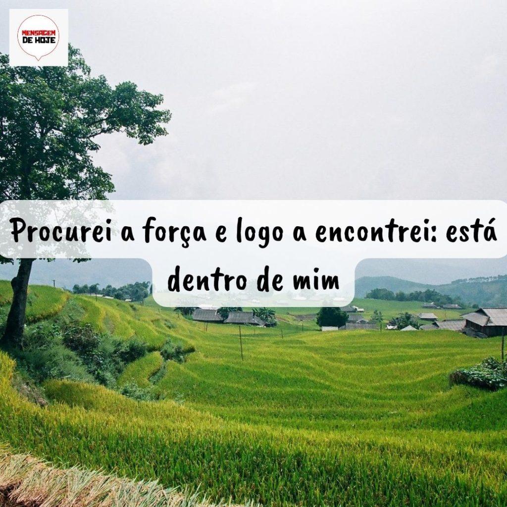 Pensamentos 30 de Setembro de 2022 15