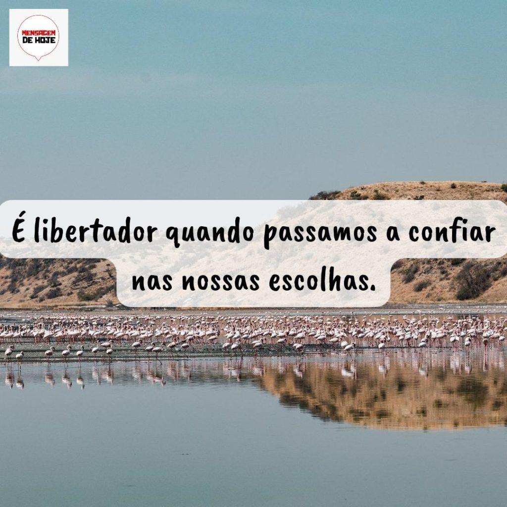 Pensamentos 30 de Setembro de 2022 1