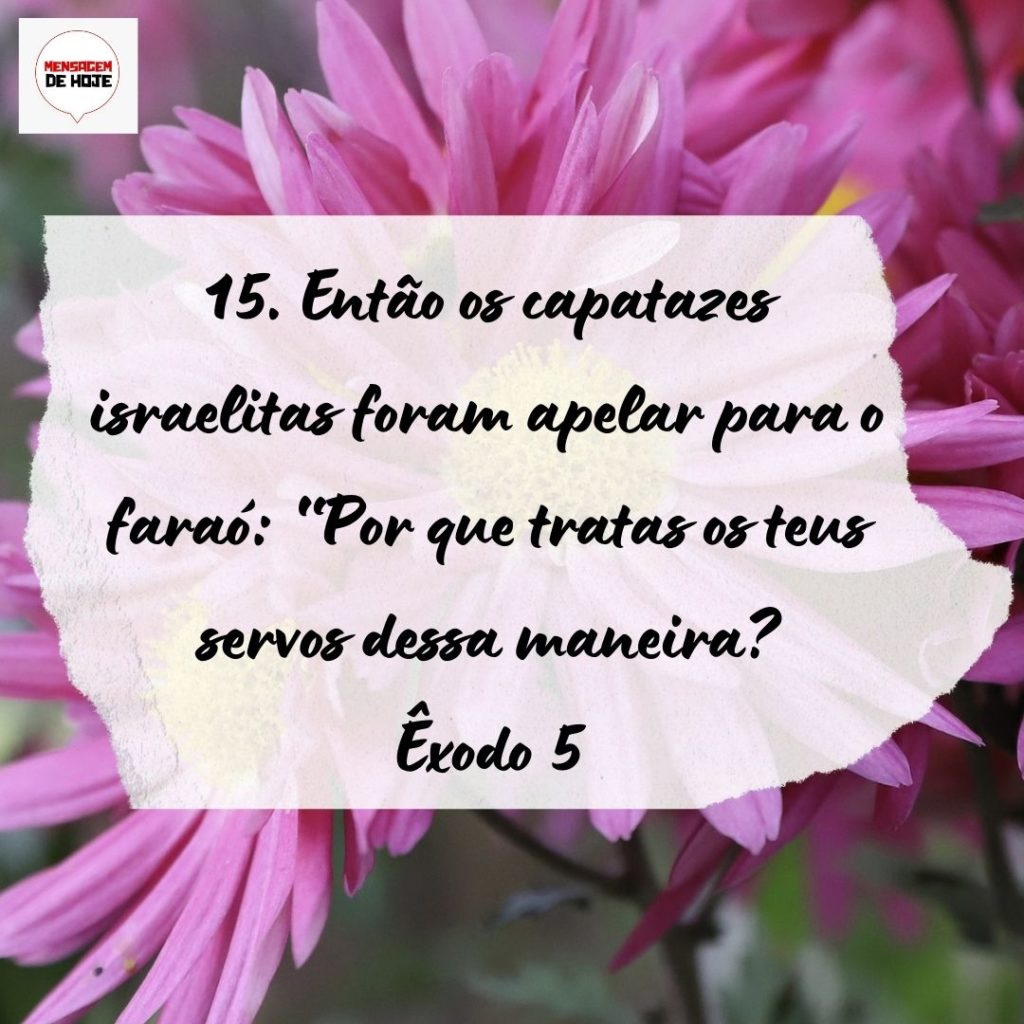 Salmos 24 de Setembro de 2022 7