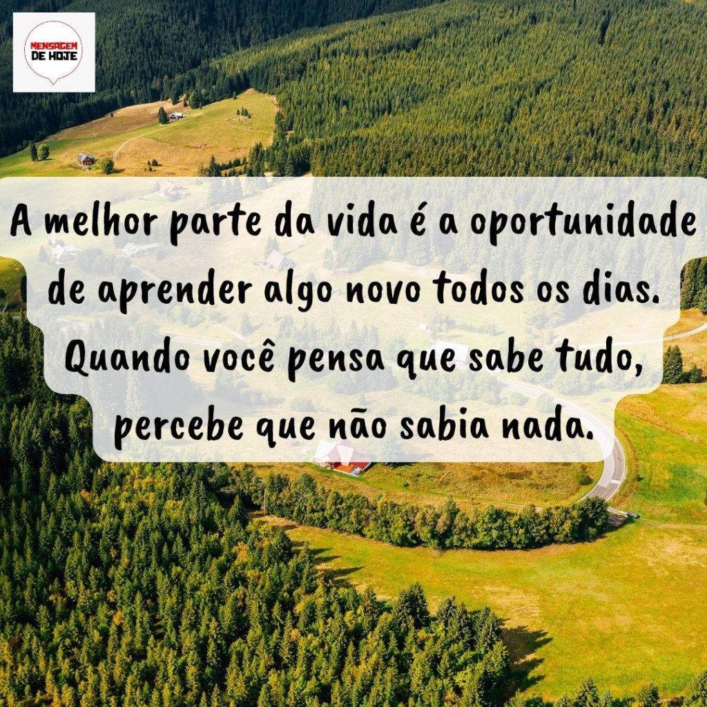 Pensamentos 28 de Setembro de 2022 9