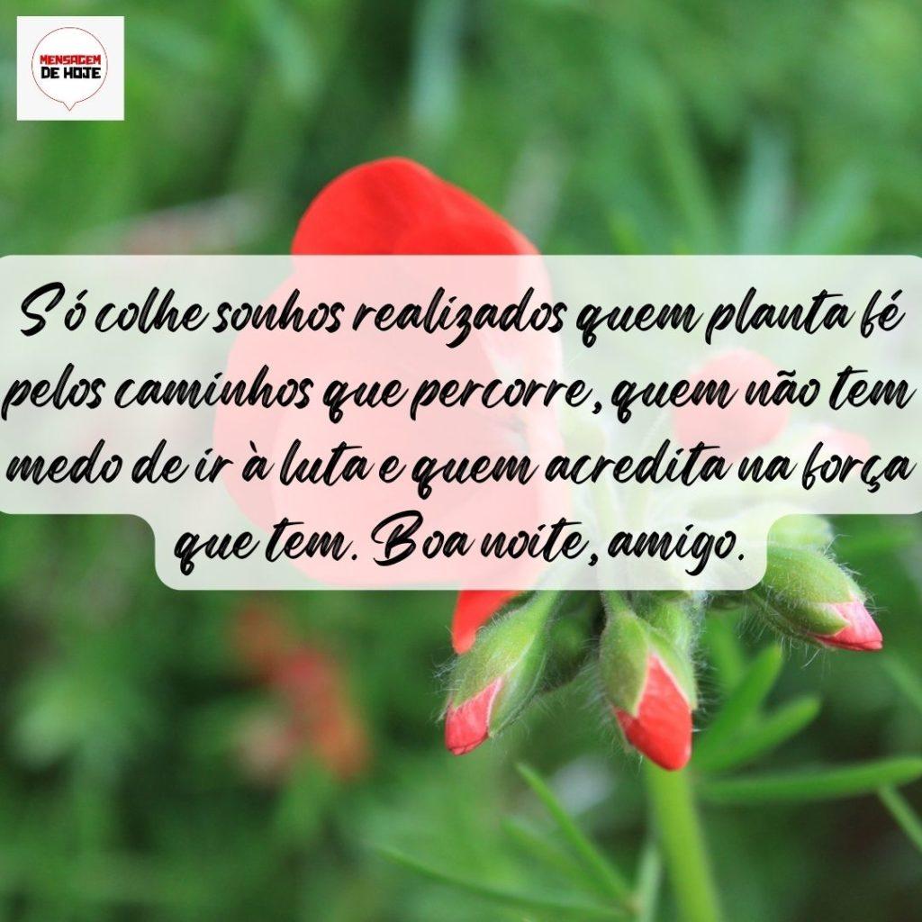 Boa Noite 26 de Setembro de 2022 13